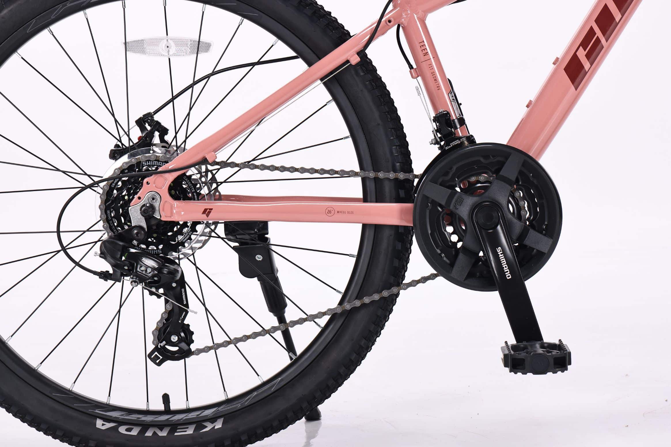 Gust Moon Pink 2026